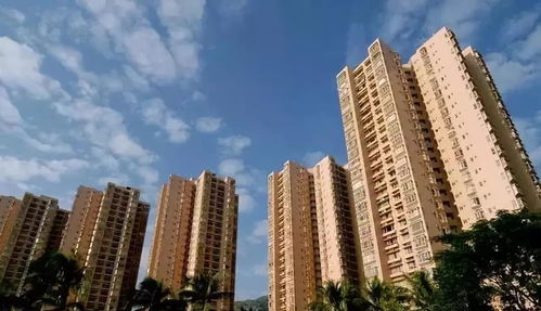 最全的軍隊統建住房信息與租賃指南 非居住房地產租賃詳解